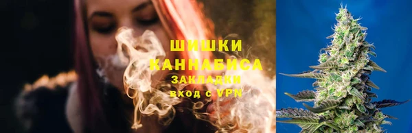 гидропоника Краснослободск