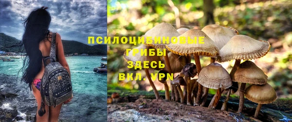 apvp Краснотурьинск