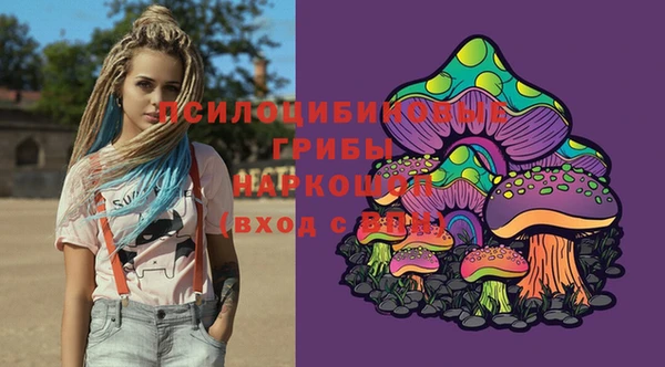 гидропоника Краснослободск