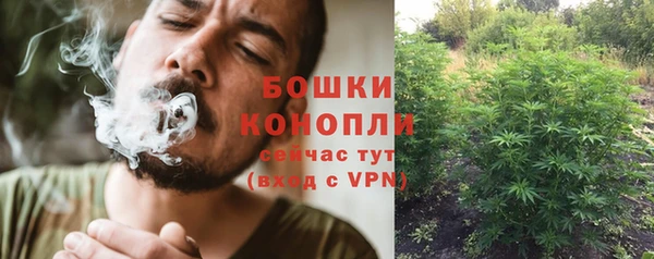 сатива Куйбышев