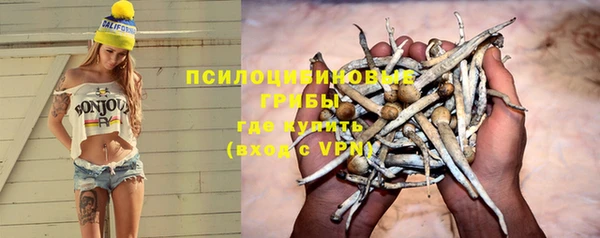 apvp Краснотурьинск