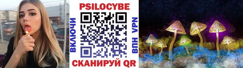 Галлюциногенные грибы Cubensis  Купить где  Новомичуринск 